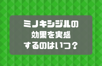 AGA_カレンダーの画像