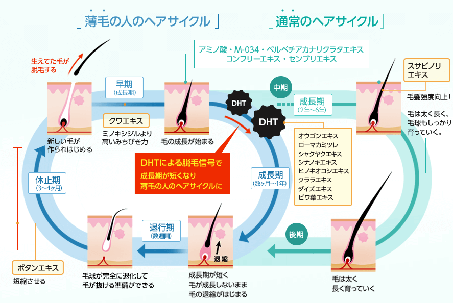 _AGAの画像