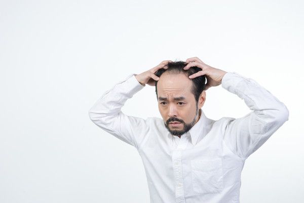 の画像