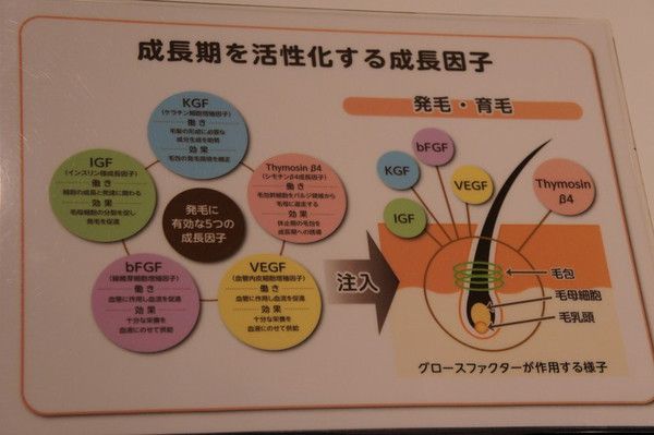 DSCmin08108の画像