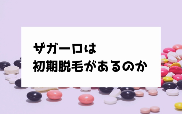 ザガーロの画像