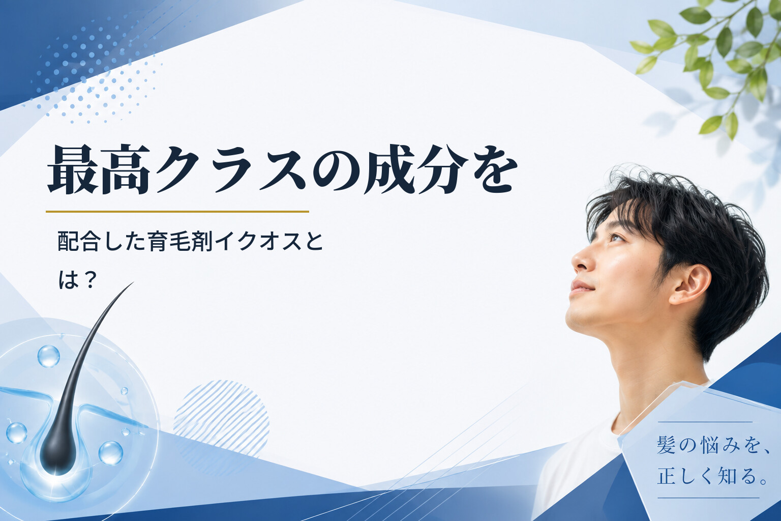 最高クラスの成分を配合した育毛剤イクオスとは？