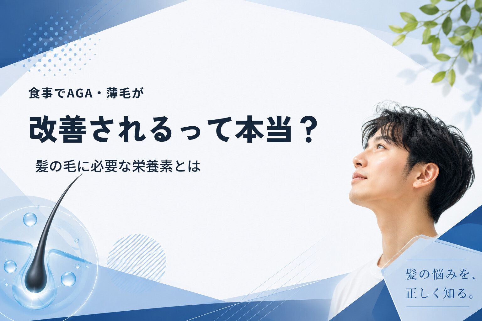 食事でAGA・薄毛が改善されるって本当？髪の毛に必要な栄養素とは