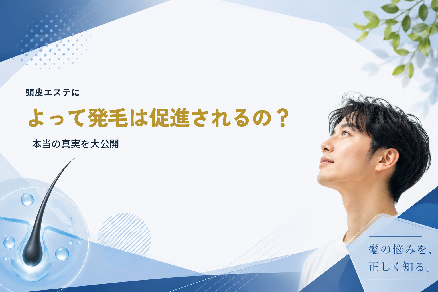 頭皮エステによって発毛は促進されるの？本当の真実を大公開