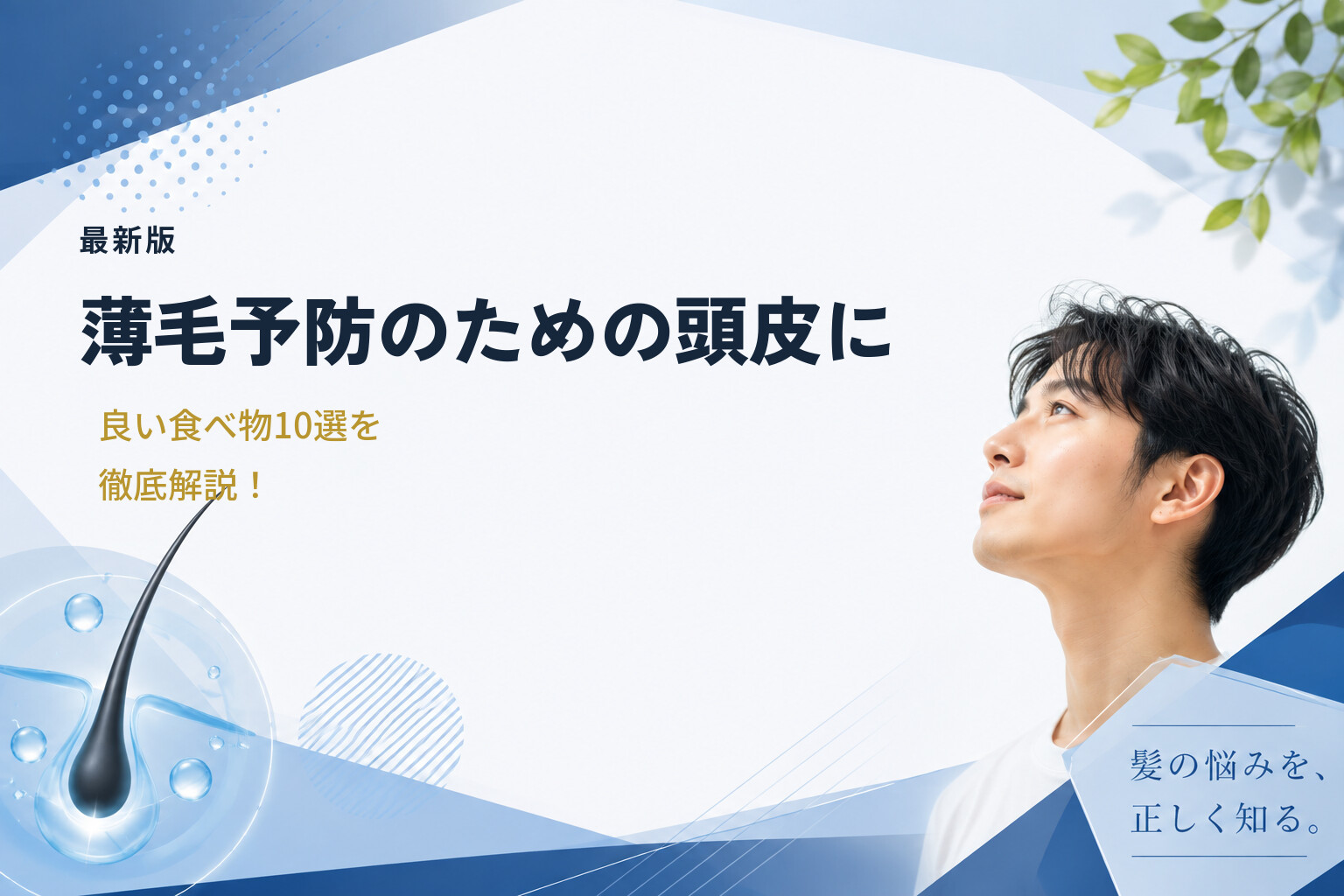【最新版】薄毛予防のための頭皮に良い食べ物10選を徹底解説！