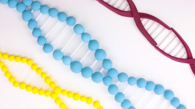 薄毛はメカニズムを知ったうえで改善方法を探すことで効果が出る