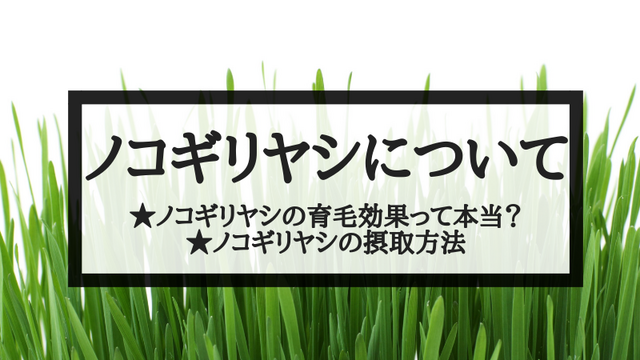 ノコギリヤシは育毛に効果あり！？副作用や成分を徹底解説